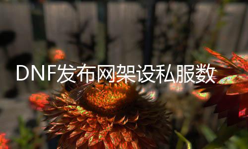 DNF发布网架设私服数据库（DNF发布网处事端数据库）