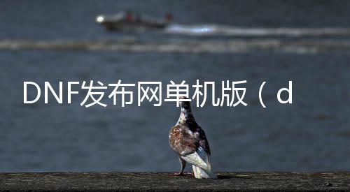 DNF发布网单机版（dnf单机版下载地点）