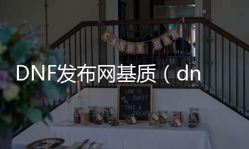 DNF发布网基质(dnf基本质料有什么用)