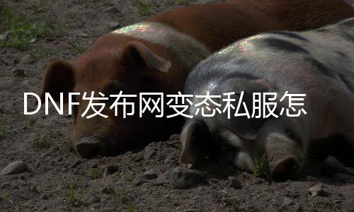 DNF发布网失常私服怎么用
