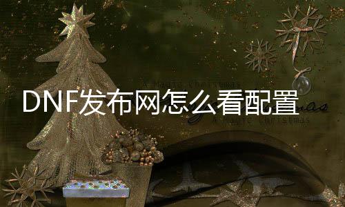 DNF发布网怎么看设置