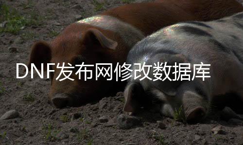 DNF发布网修改数据库（dnf修改东西）