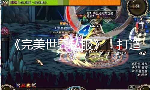 《完美世界私服》：打造本身的游戏世界