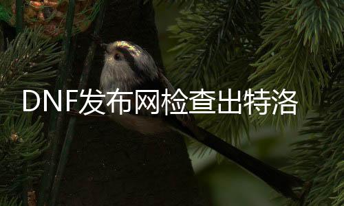 DNF发布网查抄出特洛伊木马