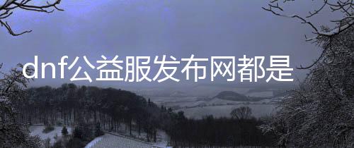 dnf公益服发布网都是台服的吗（相识dnf公益服发布网的处事器来历）